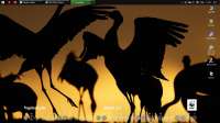 1366x768