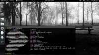 1366x768