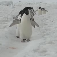 640x640