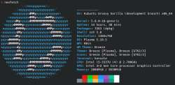 792x387