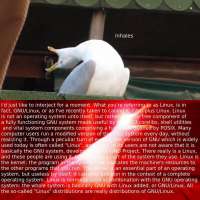 960x960