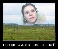 800x682