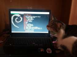 1280x960
