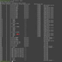 800x803