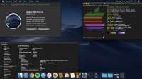 1366x768