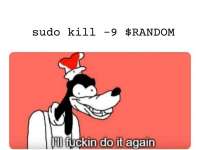 960x724