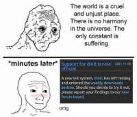540x462