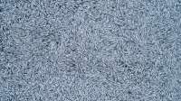800x449