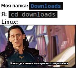 496x446