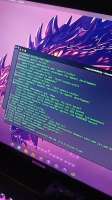 2608x4624
