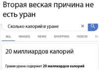 1240x881