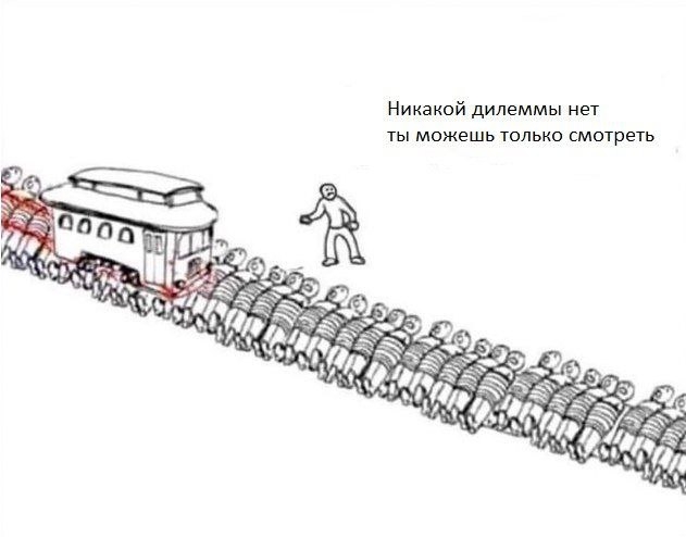 631x494