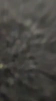 576x1024