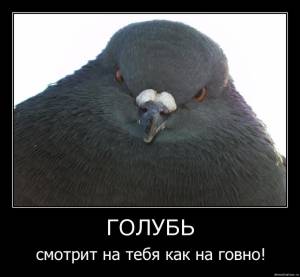 880x815