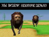 640x480