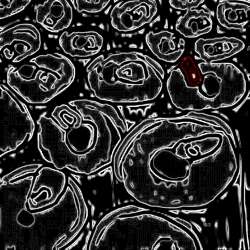 2240x2240