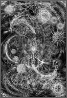 343x500