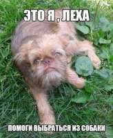 400x485