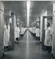 1950x2097