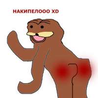 400x400