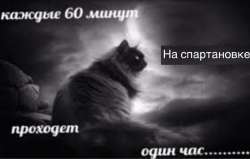 1284x817