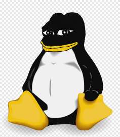 900x1024