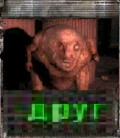 DVddBJQF.жипег