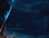 300x233