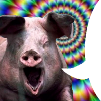 346x347