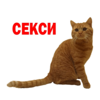 512x512
