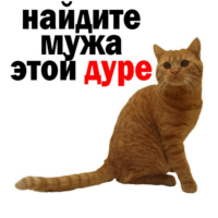 512x512