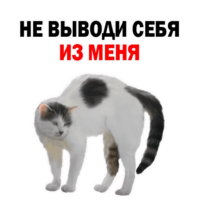 512x512