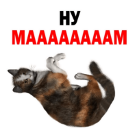 512x512