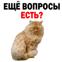 512x512
