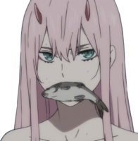 501x512