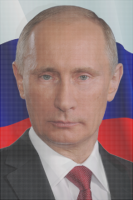 319x479