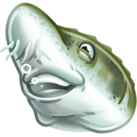 512x512