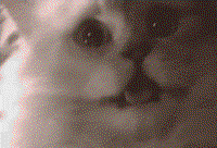 500x340