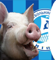 2YVDIKMB.жипег
