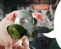 NK7xwC4C.жипег