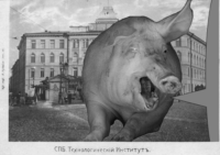 cHLzrse4.жипег