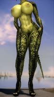 720x1280