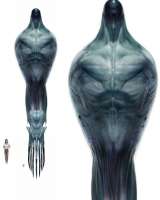 599x748