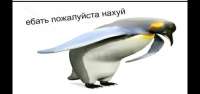 1200x568