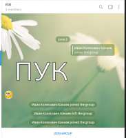 528x577