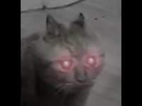 480x360