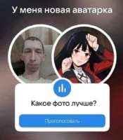 447x508