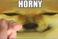 552x377