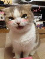 57
