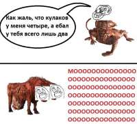 76